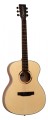 Gitara Akustyczna Tanglewood TS3 2.jpg