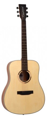 Gitara Akustyczna - Tanglewood TS5 1.jpg