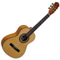 zebrano gitara.jpg