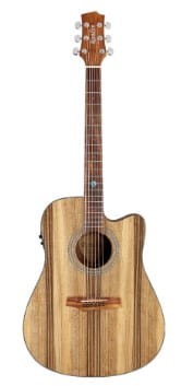 Randon rgi pw4 ce gitara.jpg