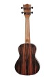 Segovia Ebony-24C ukulele koncertowe1.jpg