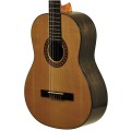 EverPlay WALNUT gitara klasyczna 3.jpg