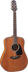 Takamine GD11M-NS