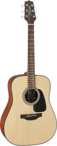Takamine GD10-NS