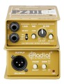 PZDI-stacked-768x1001.jpg