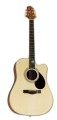 Samick GD-100SC N - gitara akustyczna.jpg