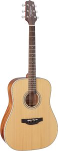 Takamine GD20-NS