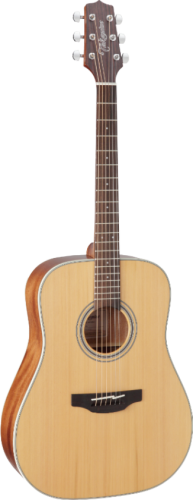 takamine_gd20-ns_pion.png