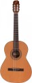 pol_pl_Admira-Paloma-v2-gitara-klasyczna-193_2.jpg