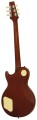 pe-350-std-agbs_1000225206.jpg