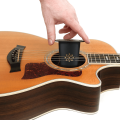 D'Addario Nawilżacz GH 1.png