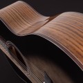 Washburn BTS9CH-D gitara akustyczna 2.jpg
