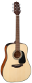 TAKAMINE-GLD12E-NS.png