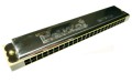 Harmonijka dwurzędowa HD24-1 C Parrot2.jpg