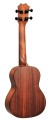 ArsNova Ukulele koncertowe UA-24M.jpg