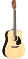 Samick SGW S-200D NAT - gitara akustyczna.jpg