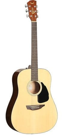 Samick SGW S-200D NAT - gitara akustyczna.jpg