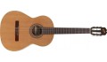 Admira Sevilla gitara klasyczna1.jpg