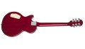 Epiphone Slash AFD Les Paul Special-II Outfit3.jpg