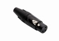 Red's Music XLR F - X53 2.jpg