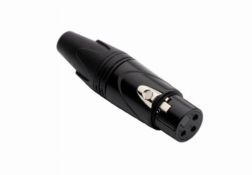 Red's Music XLR F - X53 2.jpg