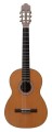 Prodipe Guitars Primera 44 - gitara klasyczna 1.jpg