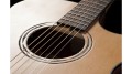 AR11C ACE-W  5.jpg