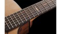 AR11C ACE-W 6.jpg