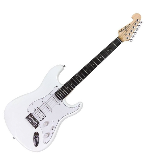 WASHBURN WS 300 H (WH).png
