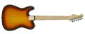 Gitara elektryczna ARIA TEG-002 (3TS) 2.jpg