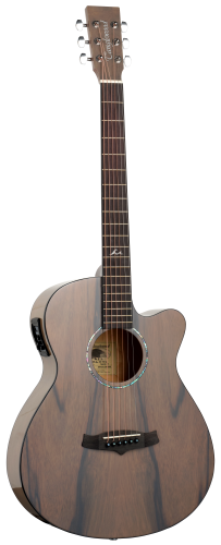 TANGLEWOOD TA4 CEGY 1.png