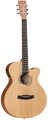 Gitara elektro-akustyczna TANGLEWOOD TR4 CE 1.png