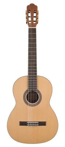 Gitara Klasyczna Salvador CS-244 1.jpg