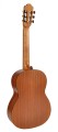 Gitara Klasyczna Salvador CS-244 2.jpg