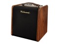 Richwood RPF-65 combo do instrumentów akustycznych 1.jpg