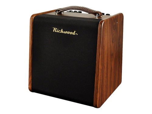 Richwood RPF-65 combo do instrumentów akustycznych 1.jpg