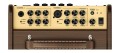 Richwood RPF-65 combo do instrumentów akustycznych 3.jpg