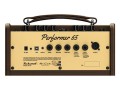 Richwood RPF-65 combo do instrumentów akustycznych 4.jpg