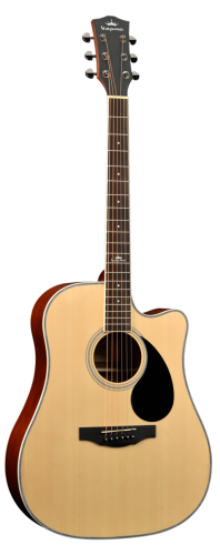 KEPMA D1C NM gitara akustyczna 1.png
