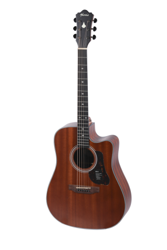 Gitara akustyczna Mantic AG-380C.png