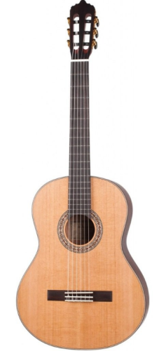 Dowina rustica cl.jpg