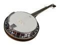Richwood RMB-605 banjo folkowe 5-strunowe 2.jpg