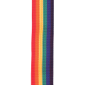 D'Addario PW PWS111 Pas do gitary Rainbow 2.png