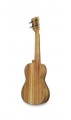 ABP ukulele koa.jpg